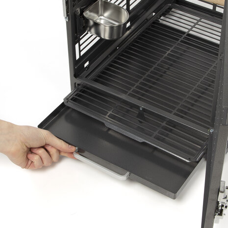 Montana Reiskooi Vogels en Papegaai antraciet