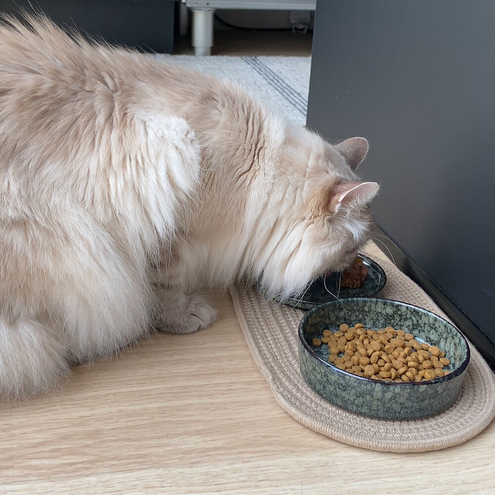 D&D Jasper Kat Eet en Drinkkom green marble Pets Gifts