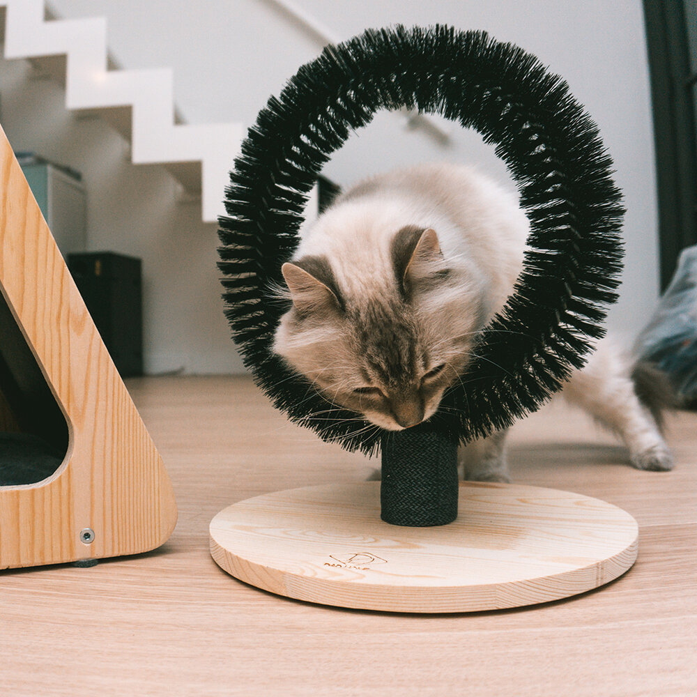 D&D Massageborstel Mila