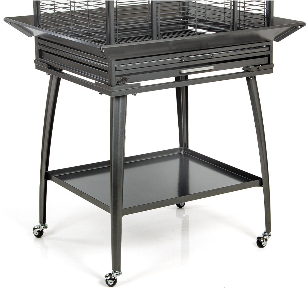 Montana Vogelkooi Brazil antiek