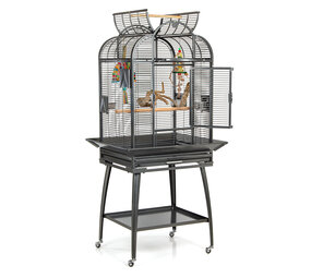 Montana Vogelkooi Brazil antiek