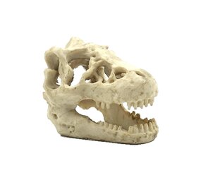 Reptile Nova Terrarium Decoratie Schedel Reptile Nova Terrarium Decoratie Schedel