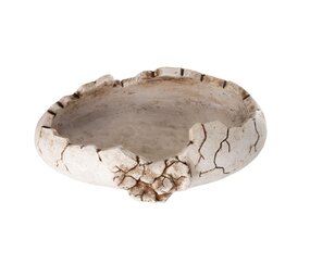 Reptile Nova Terrarium Schaal  Dino Ei Reptile Nova Terrarium Schaal  Dino Ei