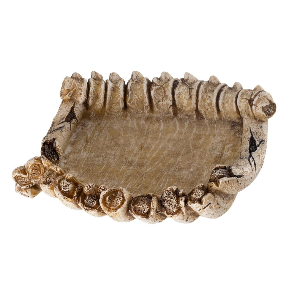 Reptile Nova Terrarium Schaal Botten Reptile Nova Terrarium Schaal Botten