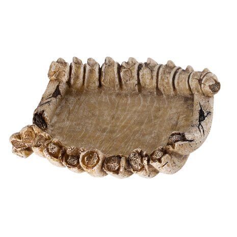 Reptile Nova Terrarium Schaal Botten Reptile Nova Terrarium Schaal Botten