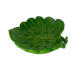 Reptile Nova Terrarium Schaal Blad Reptile Nova Terrarium Schaal Blad