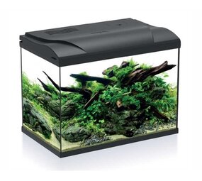 HS Aqua Aquarium Platy 50 LED zwart HS Aqua Aquarium Platy 50 LED zwart