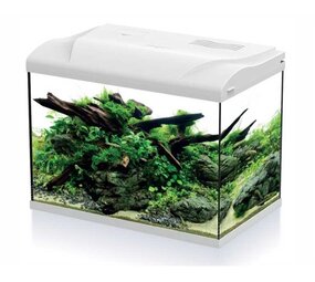 HS Aqua Aquarium Platy 50 LED wit HS Aqua Aquarium Platy 50 LED wit