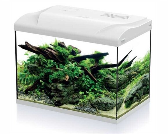 HS Aqua Aquarium Platy 50 LED wit