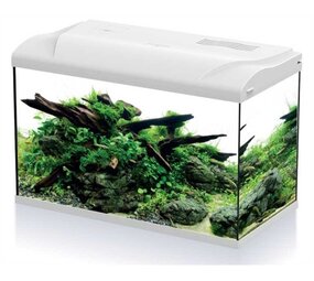 HS Aqua Aquarium Platy 70 LED wit HS Aqua Aquarium Platy 70 LED wit