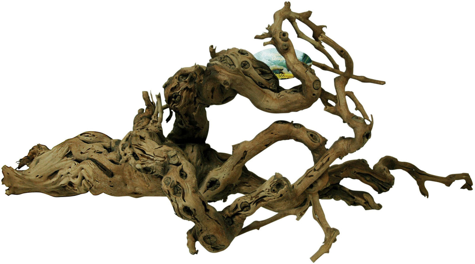 Terrarium Druiventakken Premium XXL Pets Gifts