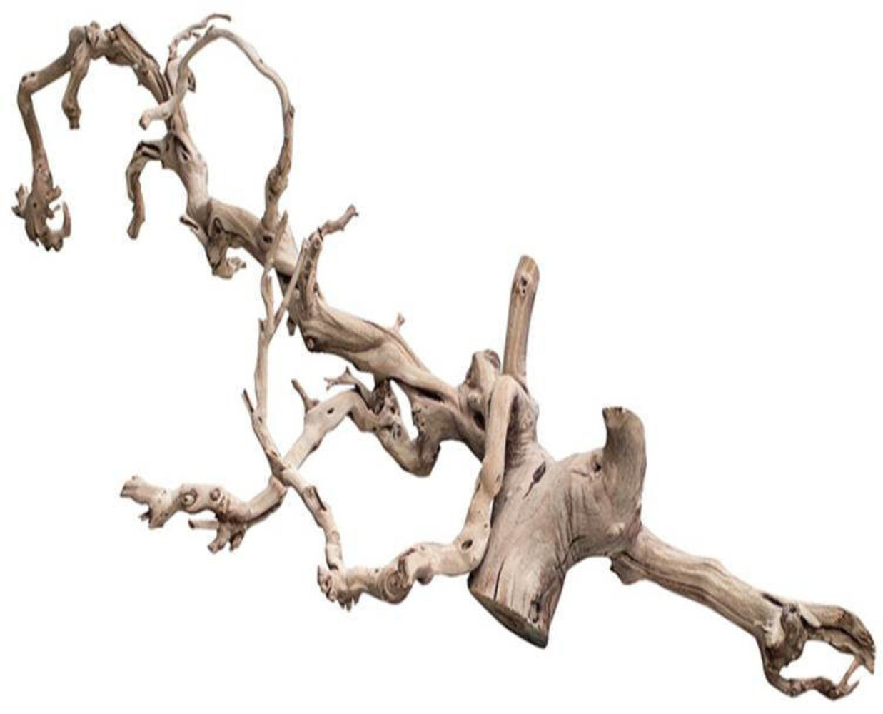 Lucky Reptile Druiventak Premium Gezandstraald Lucky Reptile Druiventak Premium Gezandstraald