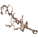 Lucky Reptile Druiventak Premium Gezandstraald Lucky Reptile Druiventak Premium Gezandstraald