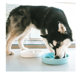 Duvo+ Keramische Schrokbak Stone Speckle turquoise