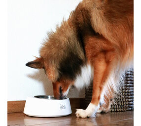 EBI Volga Anti Schrokbak met Weegschaal