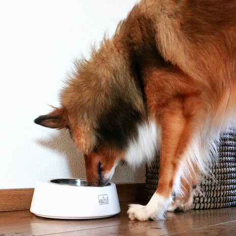 EBI Volga Anti Schrokbak met Weegschaal