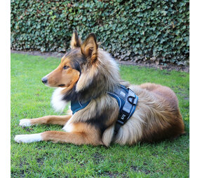 Duvo+ Ultimate Fit No-Pull Harnas petrol blue