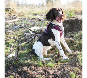 Duvo+ Ultimate Fit No-Pull Harnas plum purple