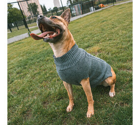 Duvo+ Hondensweater Cozy grijs Duvo+ Hondensweater Cozy grijs