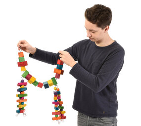 Happy Bird Winston Bridge II