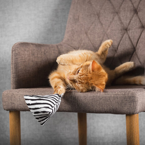 CanadianCat Company Speelkussen XL Piramide Dots met Catnip