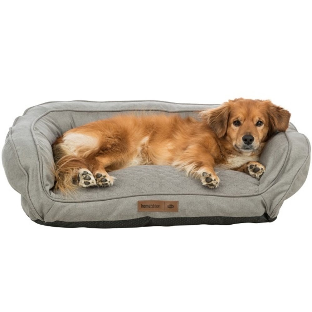 Hoe kies je een hondenmand?