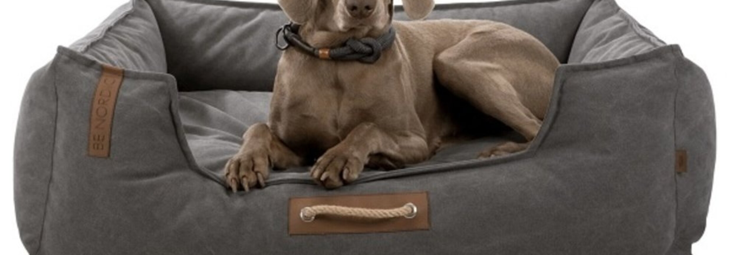 Welke hondenmand kan niet kapot? Pets Gifts