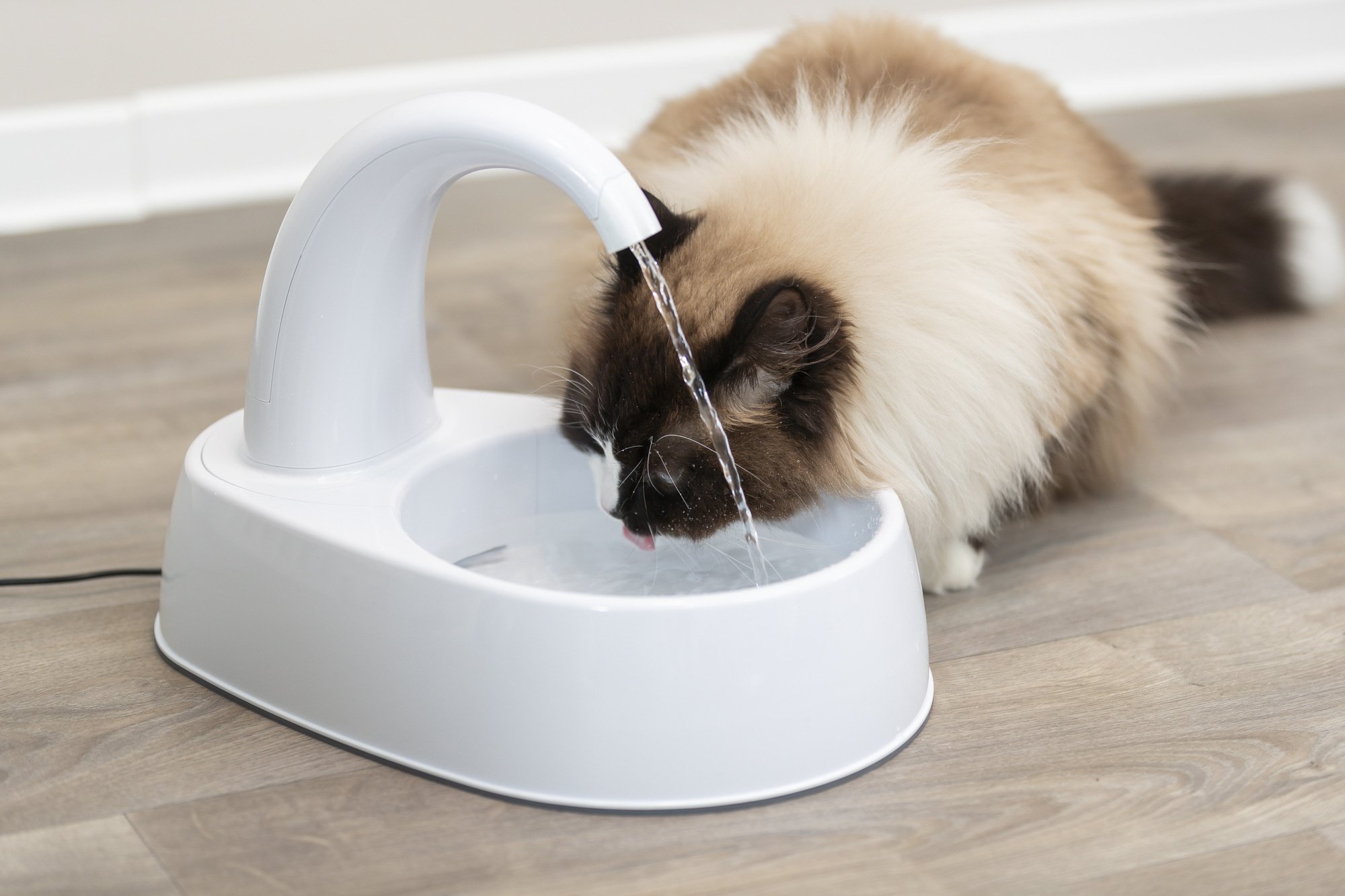 Waar drinkt een kat het liefst uit?