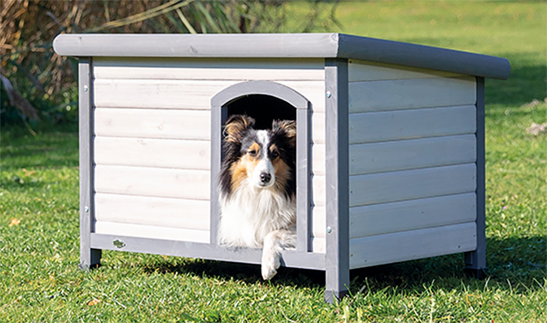 Kan een hond in de winter buiten?