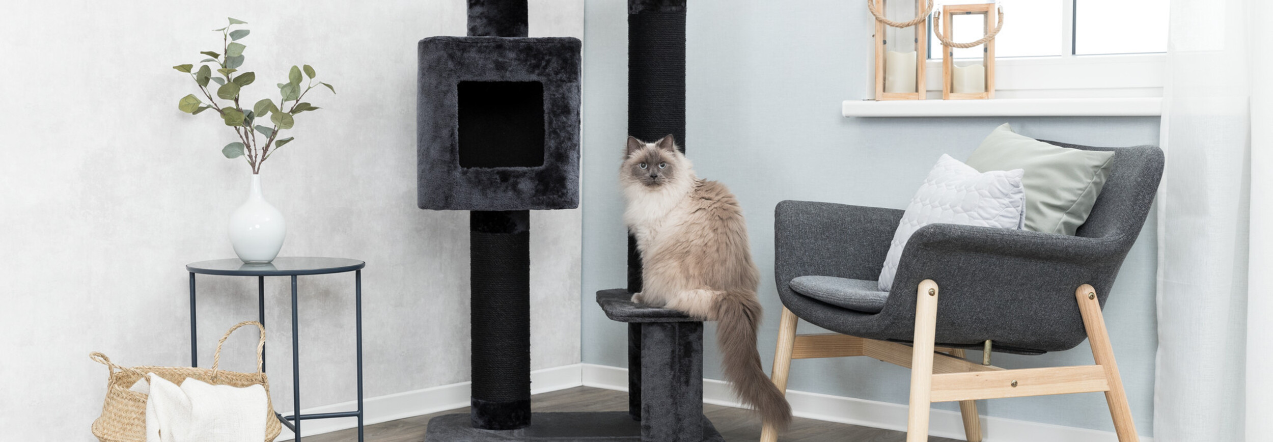 Waarom zijn krabpalen zo duur? - Pets Gifts