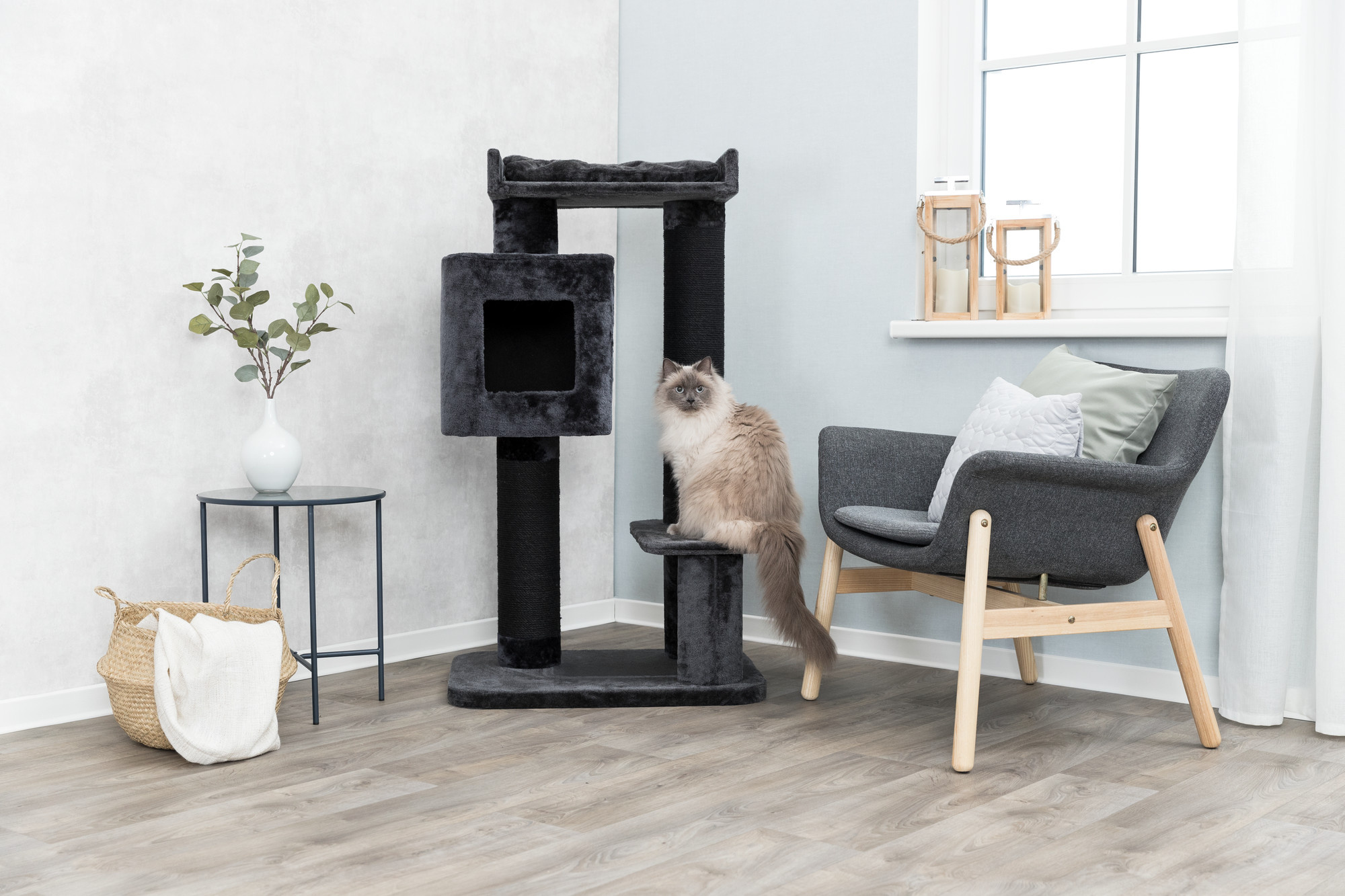 Waarom zijn krabpalen zo duur?