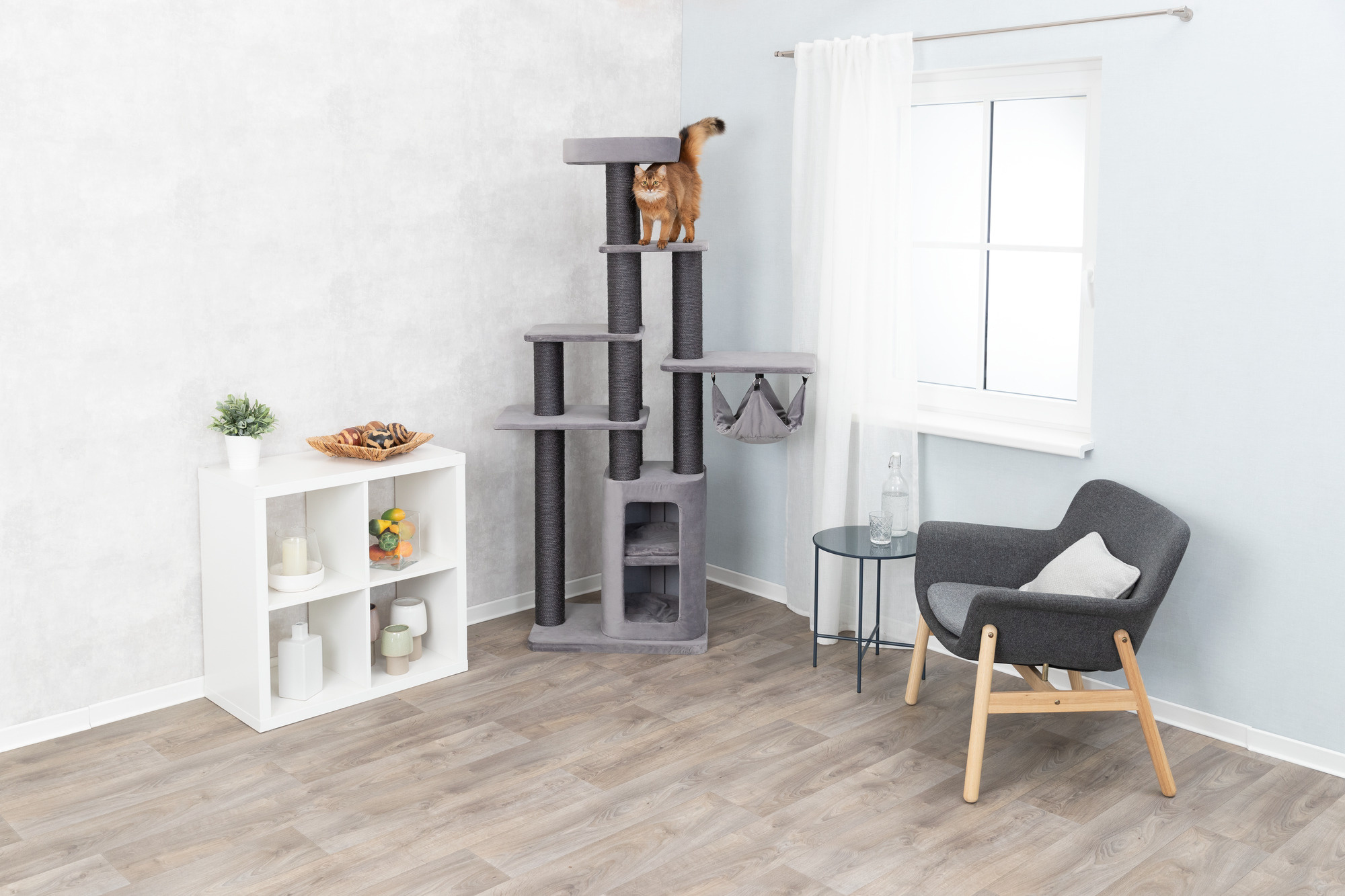 Hoe maak je een krabpaal schoon?