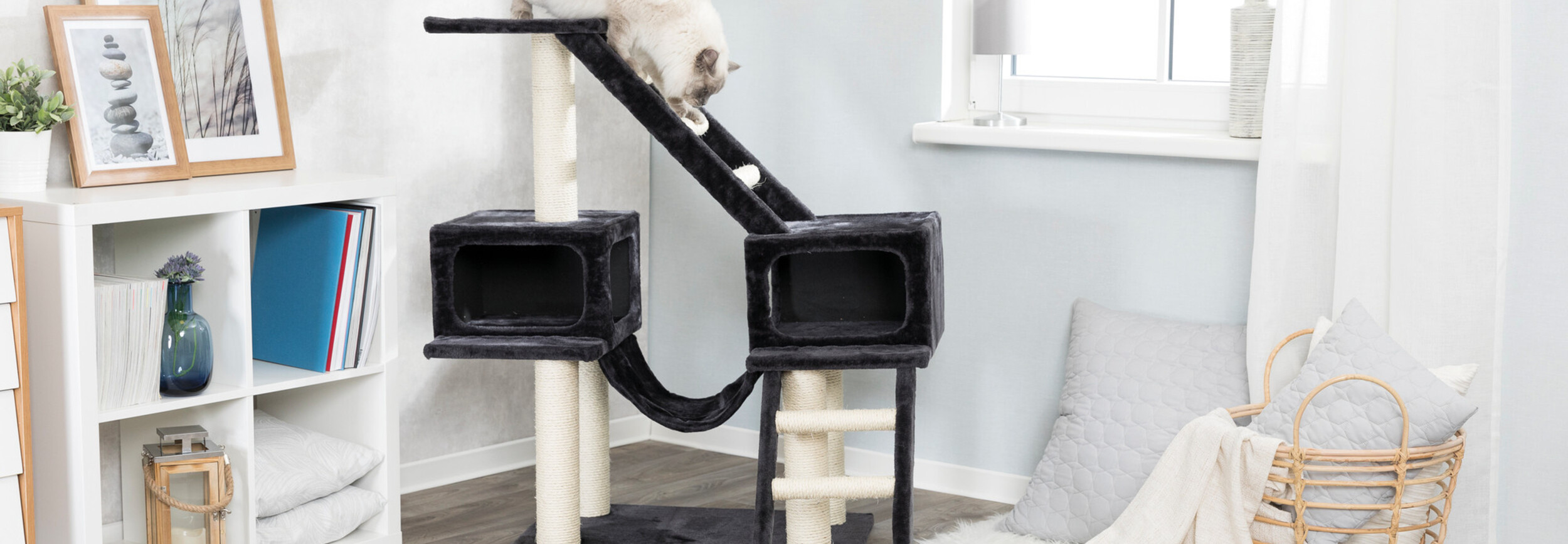 Waarom gebruikt mijn kat mij als krabpaal? - Pets Gifts