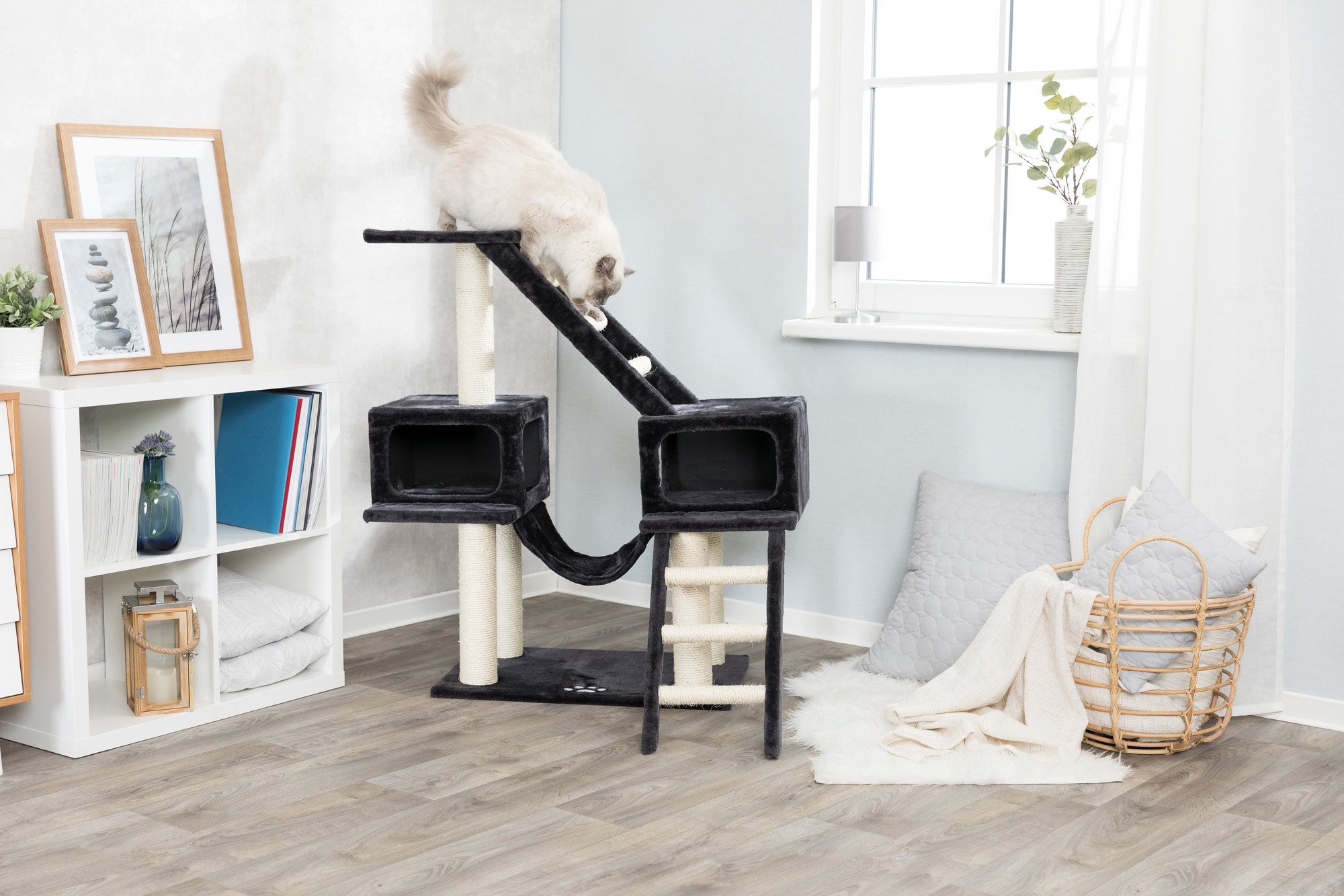 Waarom gebruikt mijn kat mij als krabpaal?