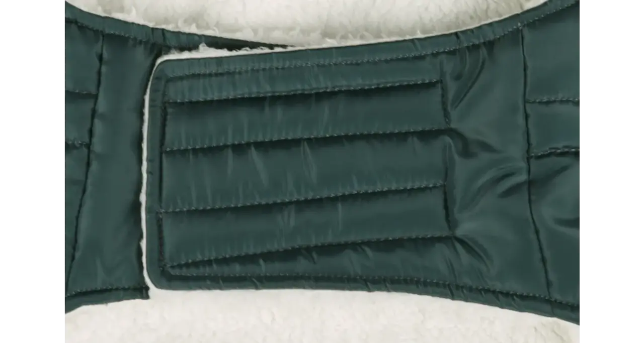 Flamingo Winterjas Hond Kimo groen