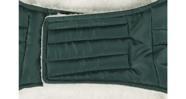 Flamingo Winterjas Hond Kimo groen