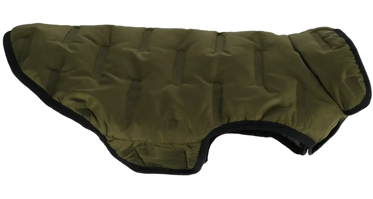 Flamingo Hondenjas Boso groen