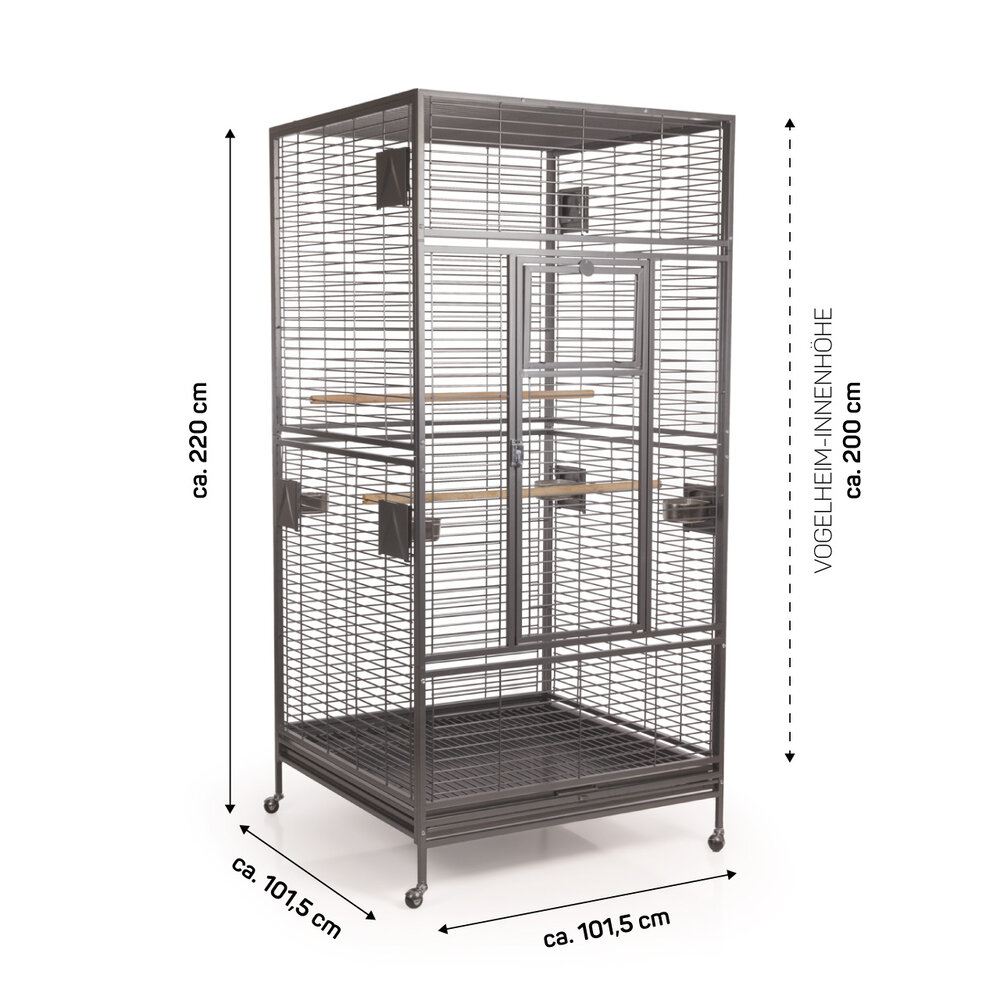 Montana New Arkansas I Antique mod 2024