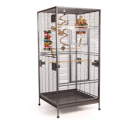 Montana New Arkansas I Antique mod 2024