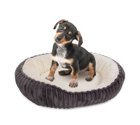 Wallace & Jones Hondenmand Cameron antraciet/beige Wallace & Jones Hondenmand Cameron antraciet/beige