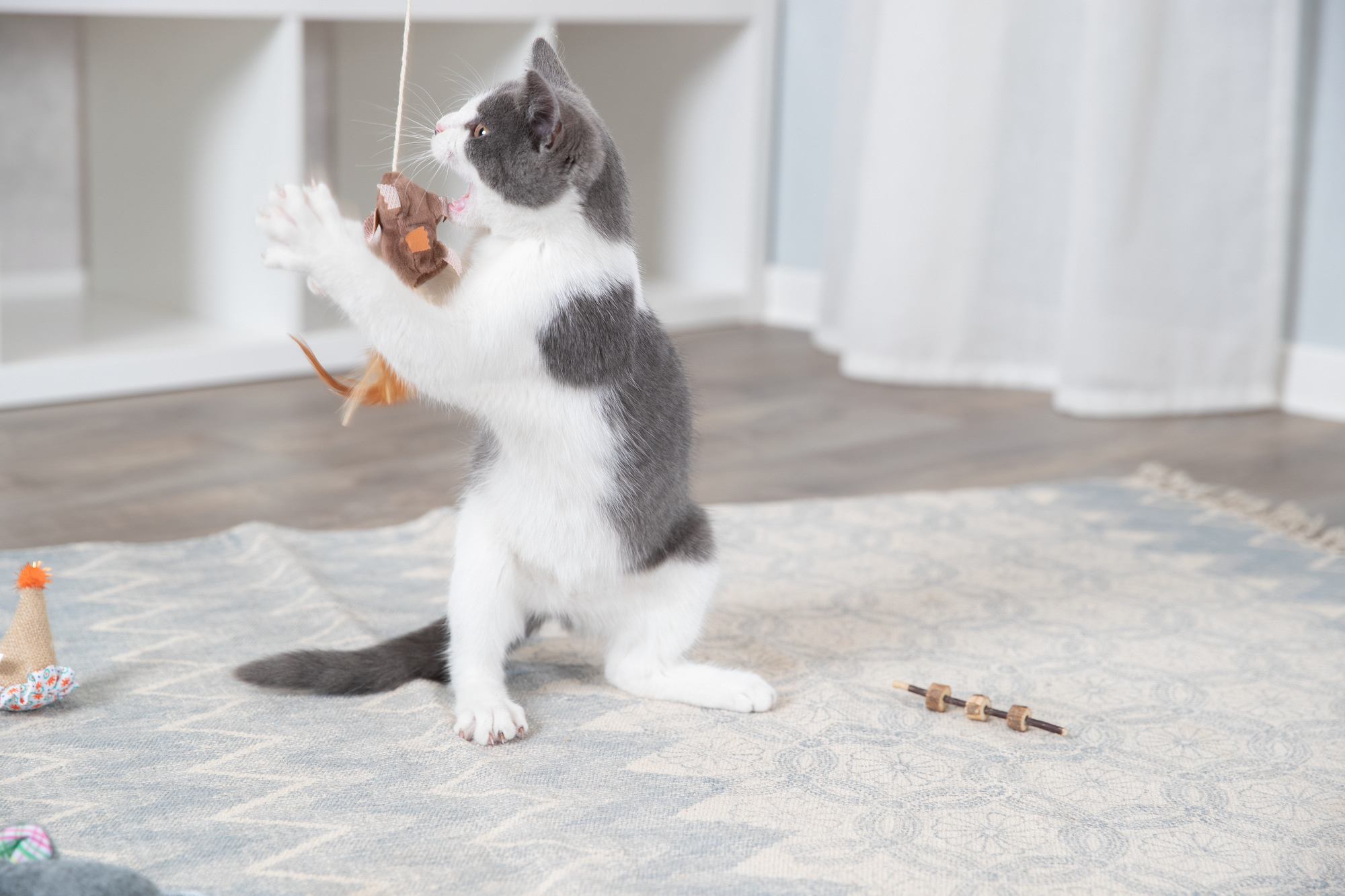 Wat zijn de beste kattenspeeltjes?