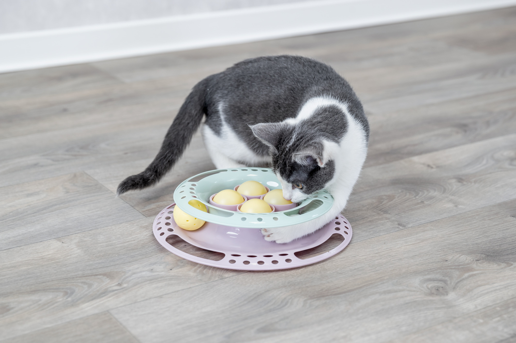 Waar speelt een kat het liefst mee?