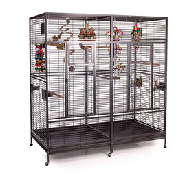 Montana Arkansas II New Mod 2024 antiek