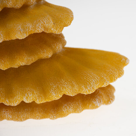 Terra Della Zwevende Decoratie Zwammen geel