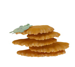 Terra Della Zwevende Decoratie Zwammen geel