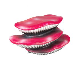 Terra Della Zwevende Decoratie Zwammen roze