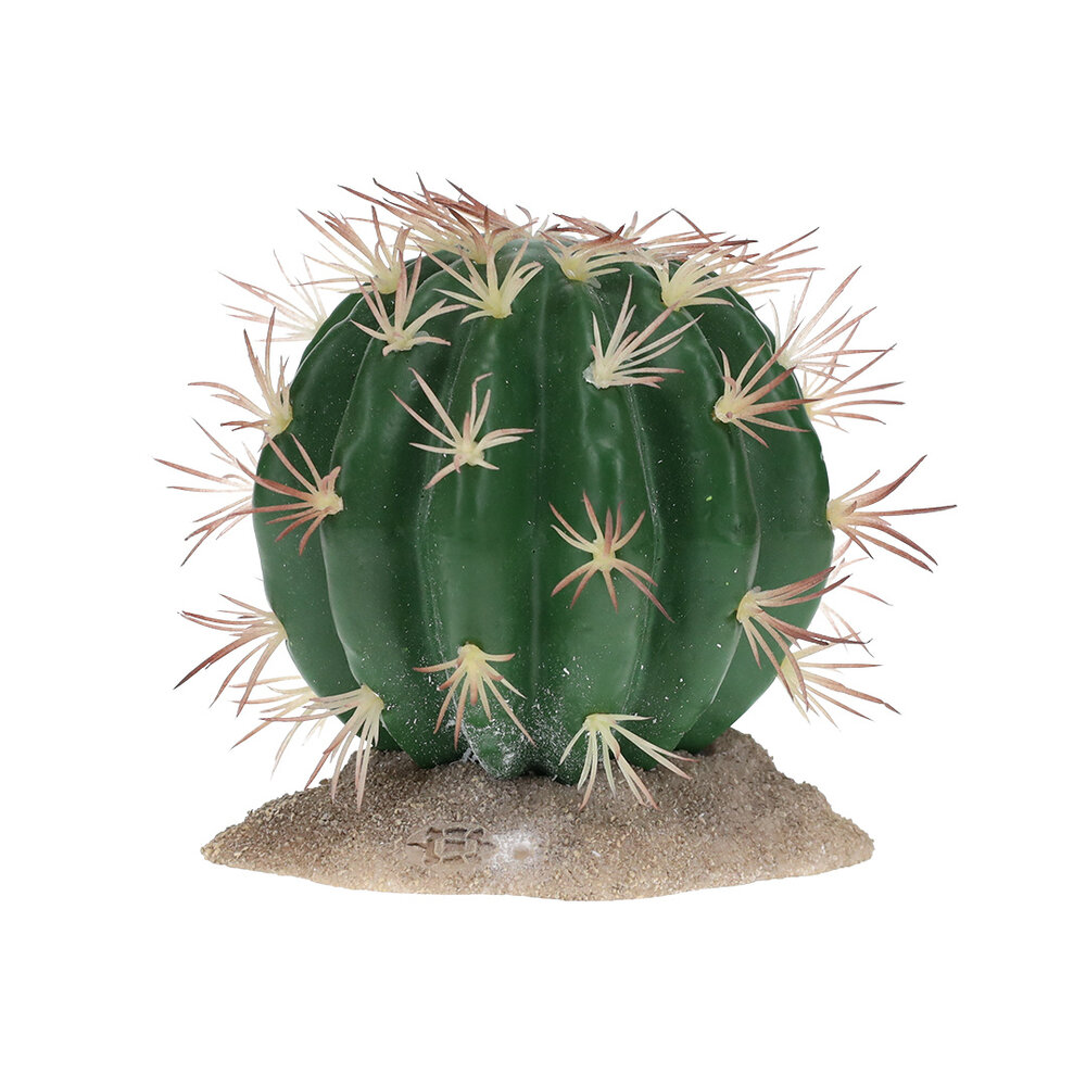 Terra Della Terrarium Echinocactus groen