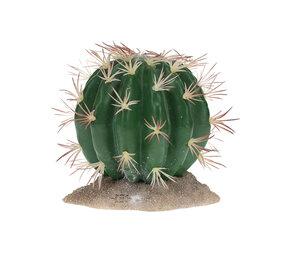 Terra Della Terrarium Echinocactus groen