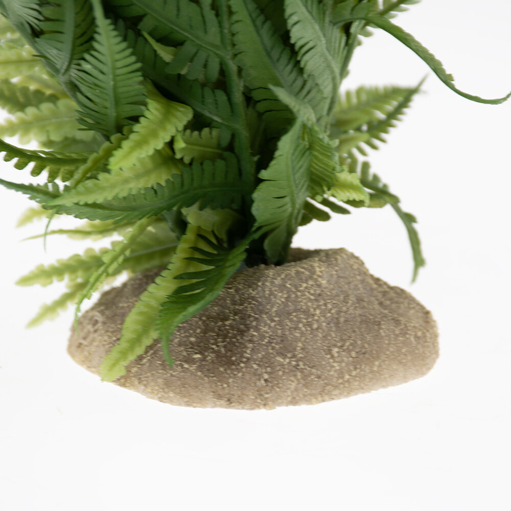 Terra Della Terrarium Kunst Varen