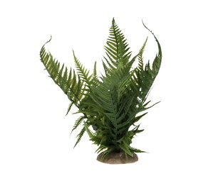 Terra Della Terrarium Kunst Varen